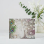 White Peacock and Green Peacock Feather art Print Briefkaart (Staand voorkant)