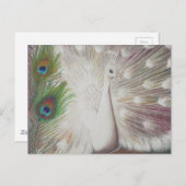 White Peacock and Green Peacock Feather art Print Briefkaart (Voorkant / Achterkant)
