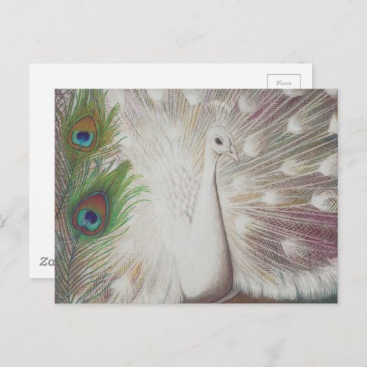 White Peacock and Green Peacock Feather art Print Briefkaart (Voorkant / Achterkant)