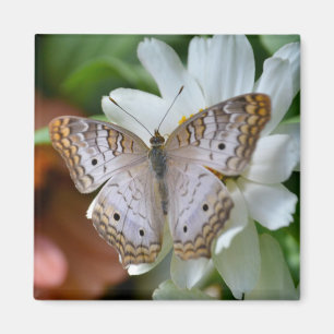 White Peacock Butterfly Magneet