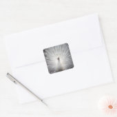 White Peacock met Feathers Fanned Out Vierkante Sticker (Envelop)