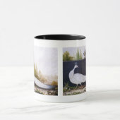 White Peacock Mok (Midden)