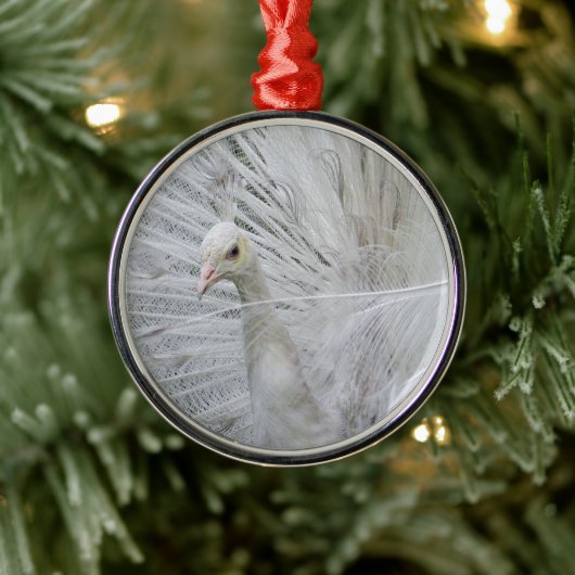 White Peacock Ornament (Boom)