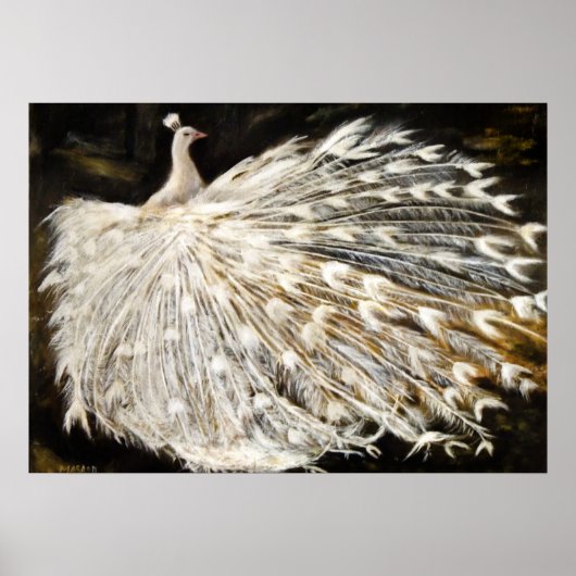 White Peacock Painting Poster (Voorkant)
