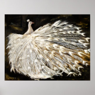 White Peacock Painting Print Posters Art