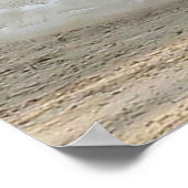 WHITE PEACOCK POSTER (Hoek)