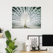 WHITE PEACOCK POSTER (Thuiskantoor)