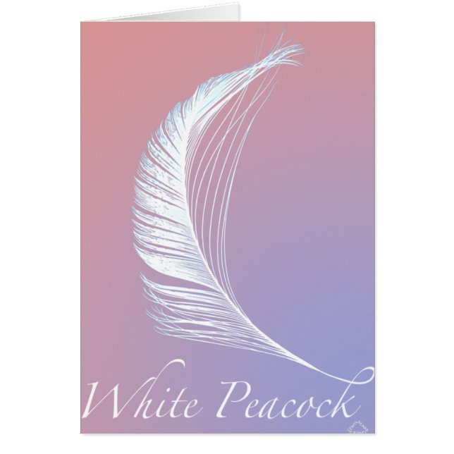 White Peacock Tail (Voorkant)