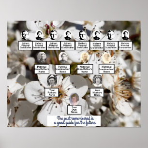 White Pear Blossom Photo Family Tree Poster