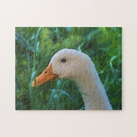 White Pekin Duck Legpuzzel (Horizontaal)