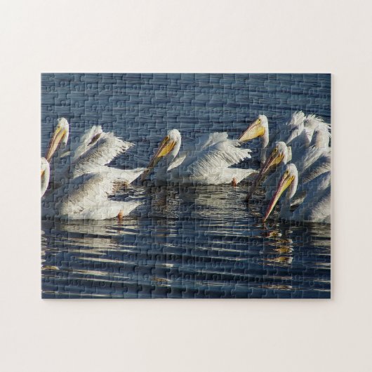 White Pelican Bird Faune Animal Puzzle de natation (Horizontal)