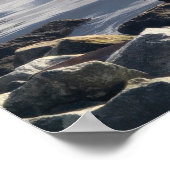 White Pelican Poster (Hoek)