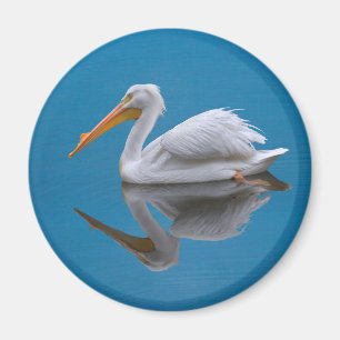 White Pelican Reflection Magnet Magneet