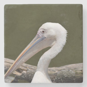 White Pelican Stenen Onderzetter