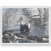 White Pelican Sticker (Voorkant)
