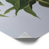 White Peonies Flower Art Imprimer Poster (Coin)