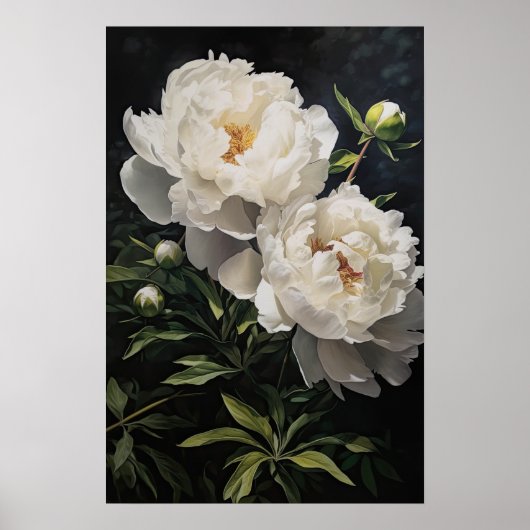 White Peonies Flower Art Imprimer Poster (Devant)
