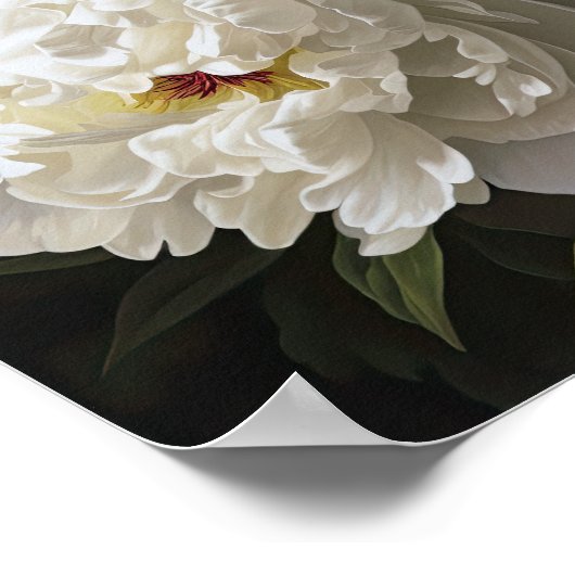 White Peonies Flower Art Imprimer Poster (Coin)