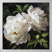White Peonies Flower Art Imprimer Poster (Devant)