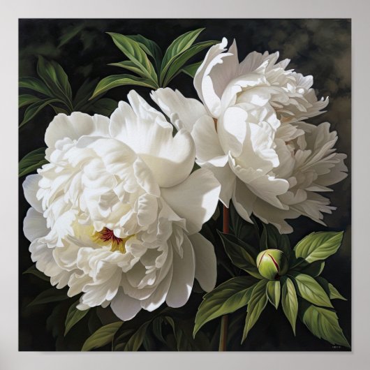 White Peonies Flower Art Imprimer Poster (Devant)