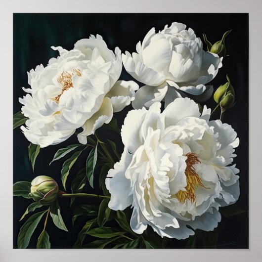 White Peonies Flower Art Imprimer Poster (Devant)
