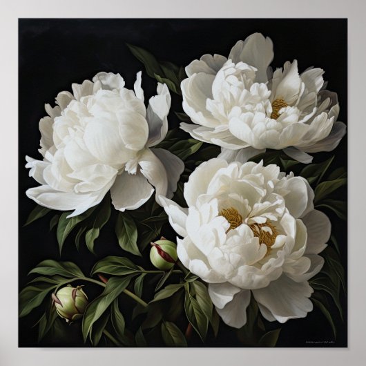 White Peonies Flower Art Imprimer Poster (Devant)