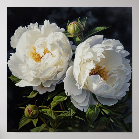 White Peonies Flower Art Imprimer Poster (Devant)