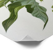 White Peonies Flower Art Imprimer Poster (Coin)