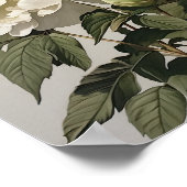 White Peonies Flower Art Imprimer Poster (Coin)