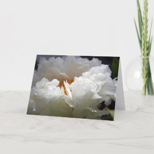White Peony 1 Floral Photography Greep C Feestdagen Kaart