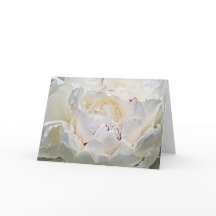 White Peony Blank Foto Wenskaart