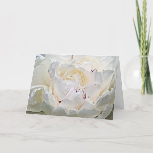 White Peony Blank Foto Wenskaart Kaart