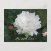White Peony Briefkaart (Voorkant)
