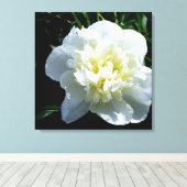 White Peony Canvas Afdruk (Insitu (Houten vloer))