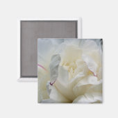 White Peony Close Up Flower Photo Magnet (Recto/Verso)