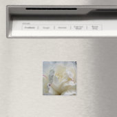 White Peony Close Up Flower Photo Magnet (In Situ (Lave-vaisselle))