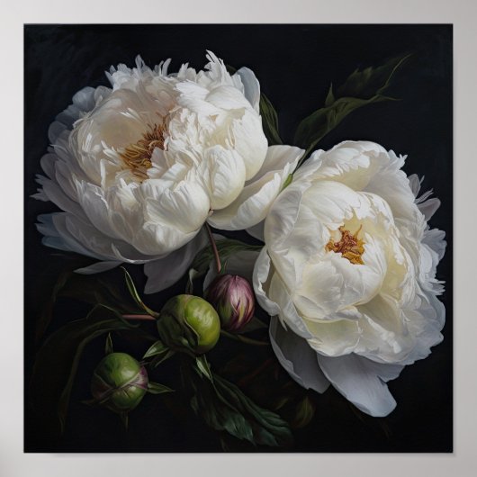 White Peony Flowers Art Imprimer Poster (Devant)