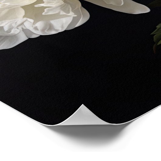 White Peony Flowers Art Imprimer Poster (Coin)
