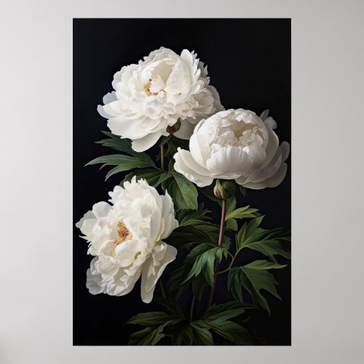 White Peony Flowers Art Imprimer Poster (Devant)