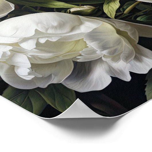 White Peony Flowers Art Imprimer Poster (Coin)