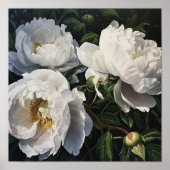 White Peony Flowers Art Imprimer Poster (Devant)