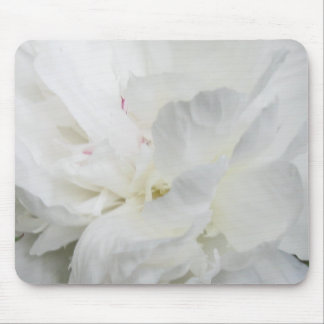 White Peony IMG_0865 Muismat