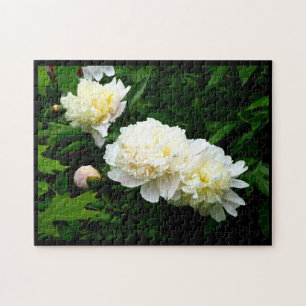 White Peony Trio Legpuzzel