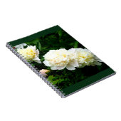 White Peony Trio Notitieboek (Rechterzijde)