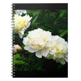 White Peony Trio Notitieboek