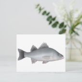 White Perch Briefkaart (Staand voorkant)