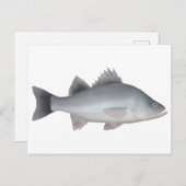 White Perch Briefkaart (Voorkant / Achterkant)