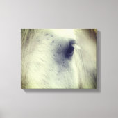 White Percheron Horse Eye Canvas Afdruk (Voorkant)