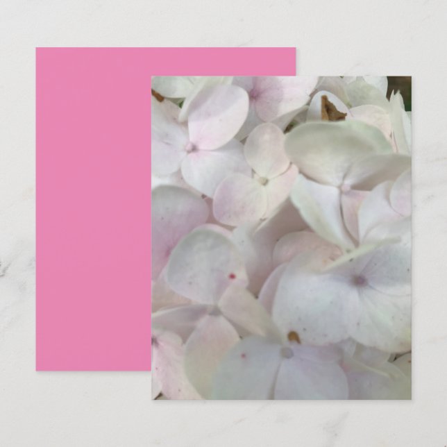 White Pink Hydrangea Blossom Scrapbook Paper (Voorkant / Achterkant)
