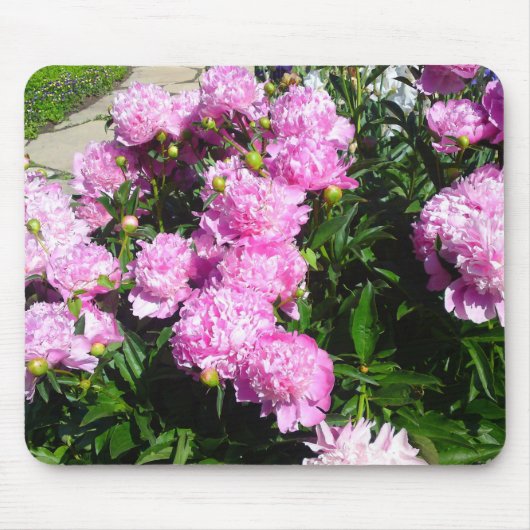 White Pink Peony Mousepad Muismat (Voorkant)